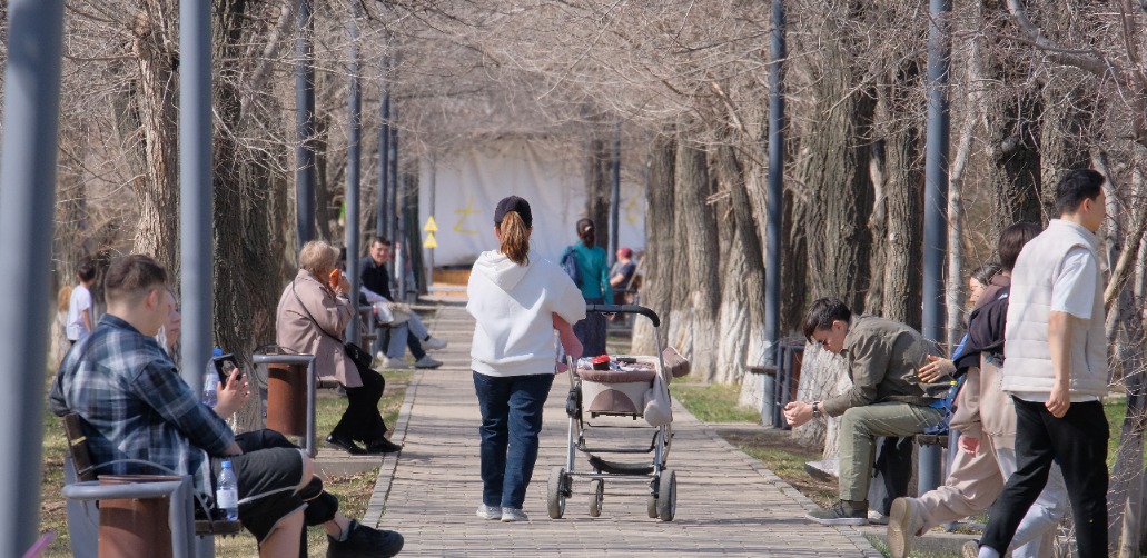 Трусика арқылы шолу суреті